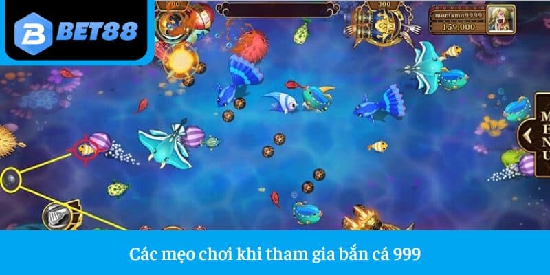 Các mẹo chơi khi tham gia bắn cá 999